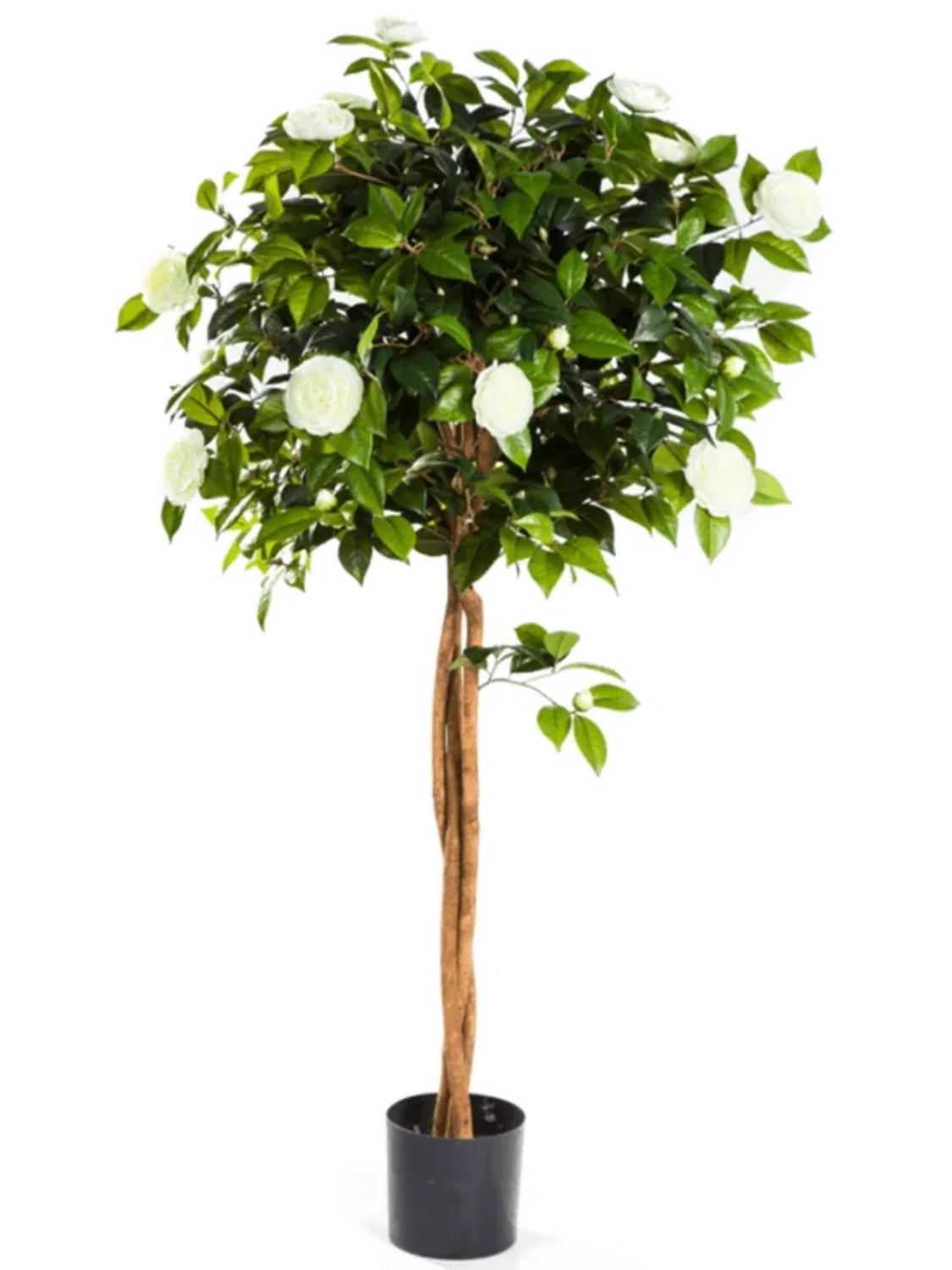 3f0949bc-902a-4fcd-a65c-d6f8a174fe5f-ae5be4a8-9084-4aa2-b9fb-ecd917d6bbc9
