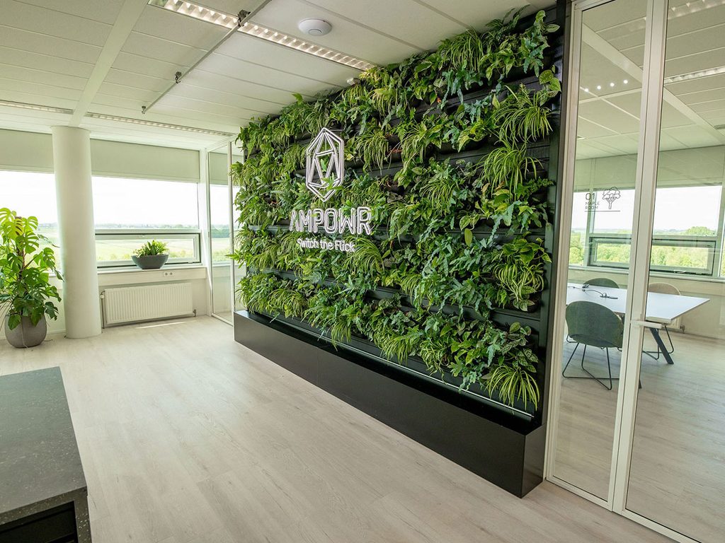 Levende plantenwand in een kantoorruimte