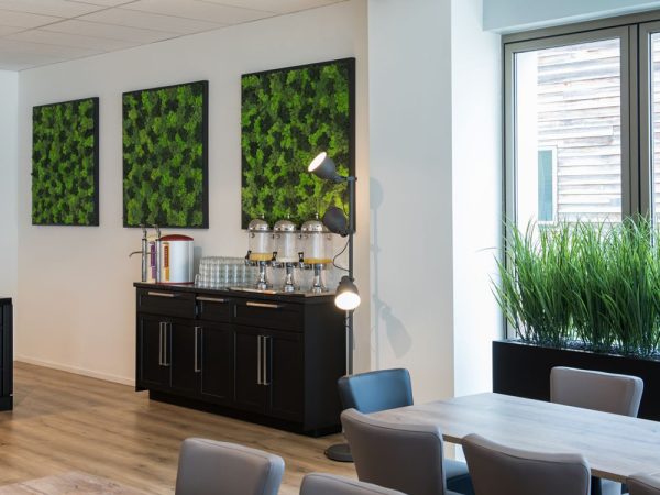 Welke groene wand past bij jouw bedrijf