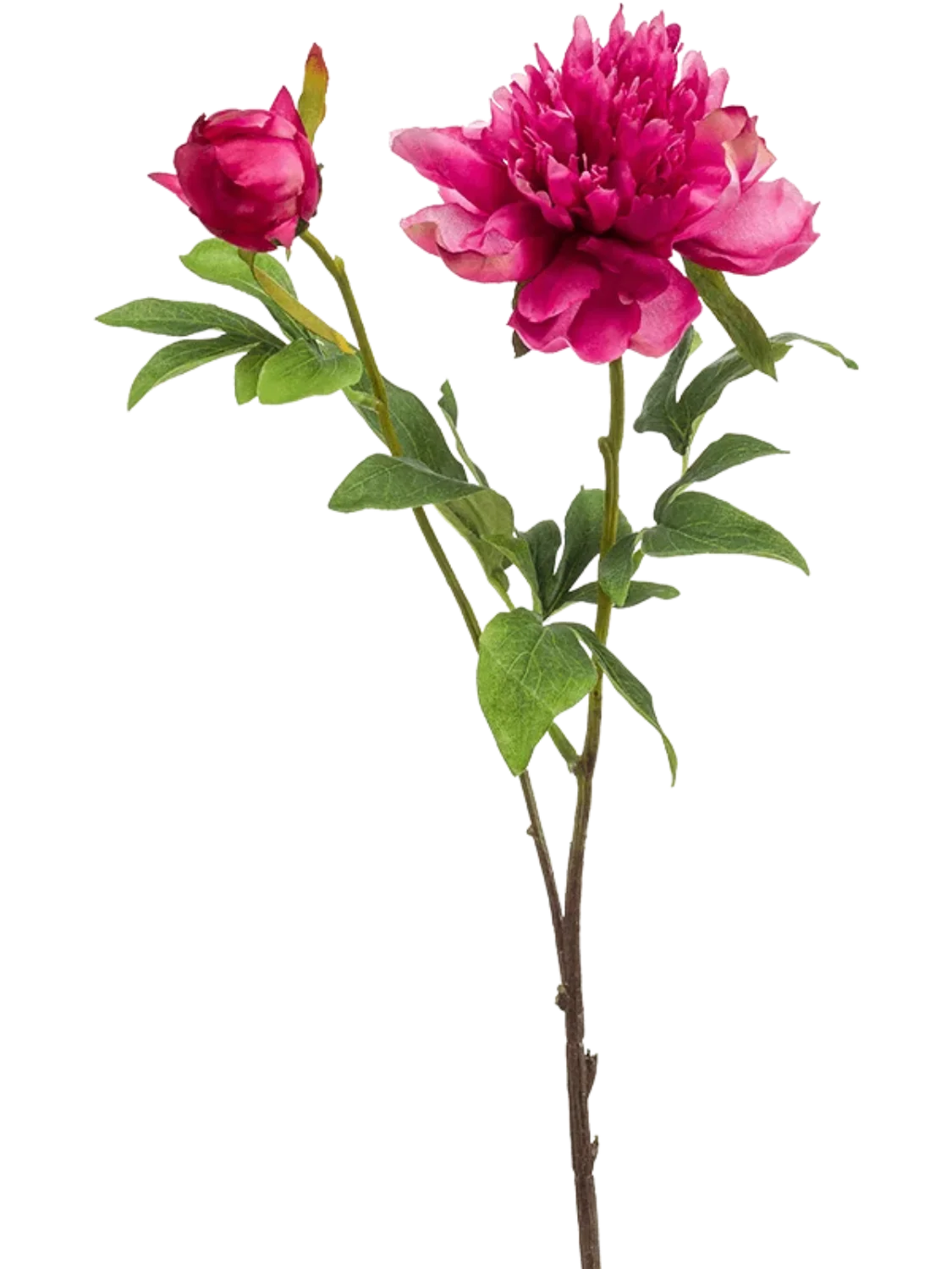 3f0949bc-902a-4fcd-a65c-d6f8a174fe5f-c2ea271b-95c0-4c83-81dd-ae4fd434e92b