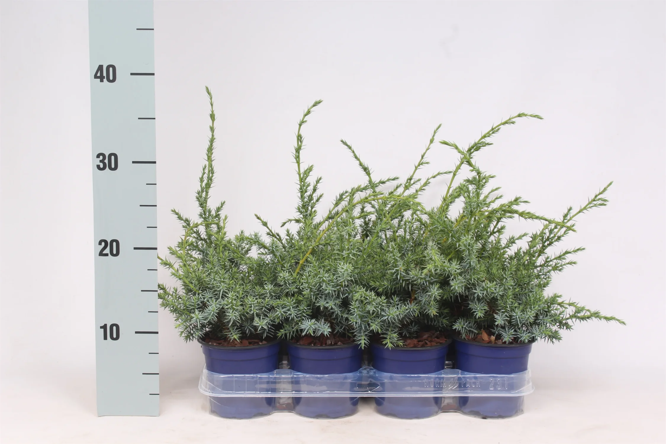 3f0949bc-902a-4fcd-a65c-d6f8a174fe5f-d2ad1bc1-078f-474d-9d59-7943c37bd985